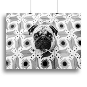 VudAo Canvas Print or Poster (Type: Standard Framed Canvas Print, size: 12" x 8" / 30cm x 20cm approx)